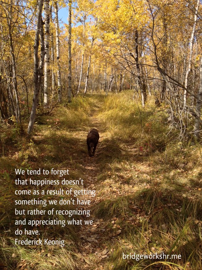 Bridgeworks Thanksgiving